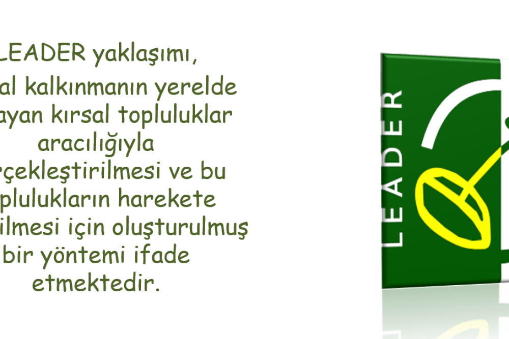 Leader Nedir