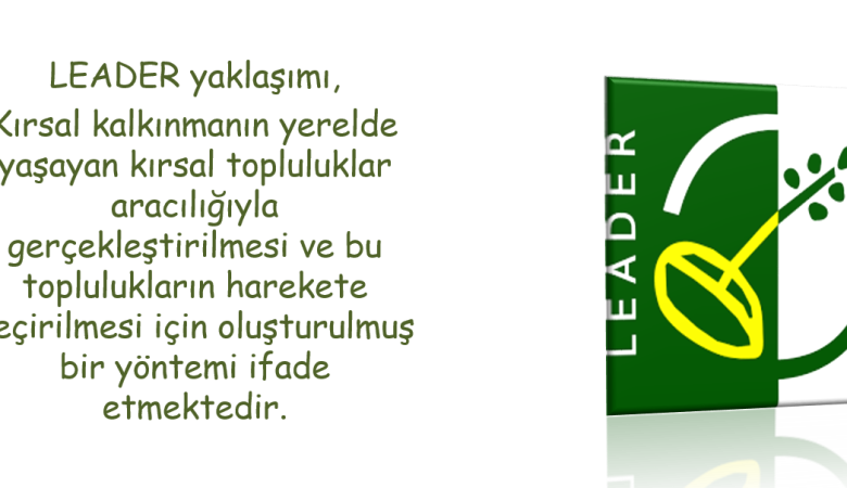 Leader Nedir